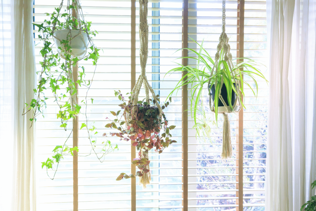 indoor planters