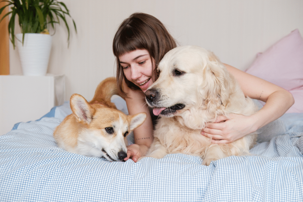 pet friendly vacation homes