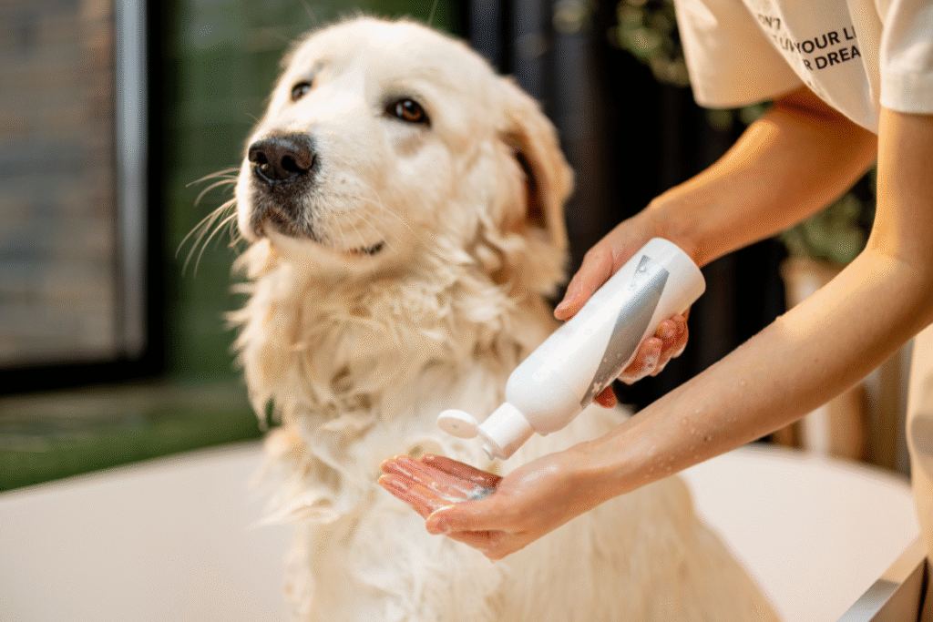 pet shampoo